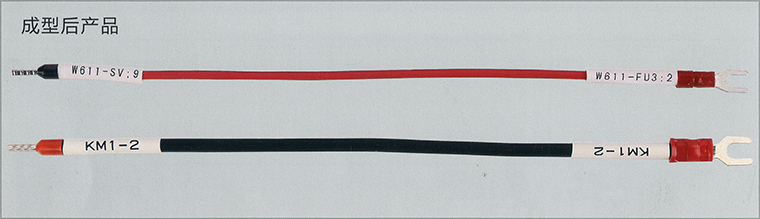 img025.jpg img025.jpg