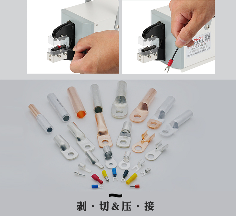 ZCYJ-06M_10.jpg ZCYJ-06M_10.jpg